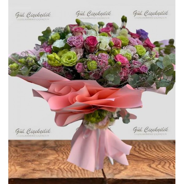 LİSA MEVSİM COLOR